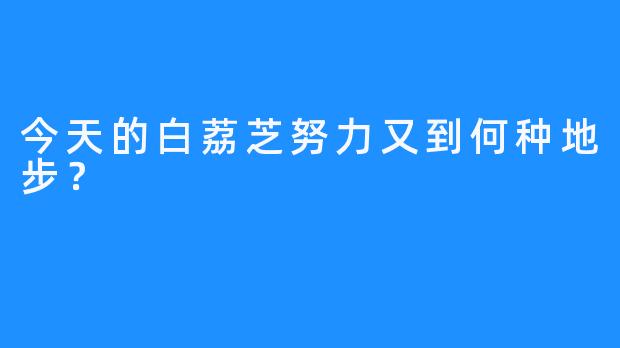 今天的白荔芝努力又到何种地步？