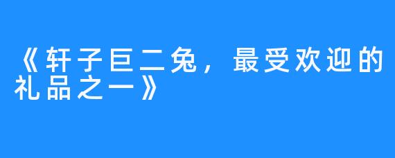 《轩子巨二兔,最受欢迎的礼品之一》