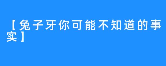 【兔子牙你可能不知道的事实】