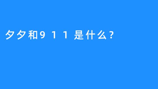 夕夕和911是什么？