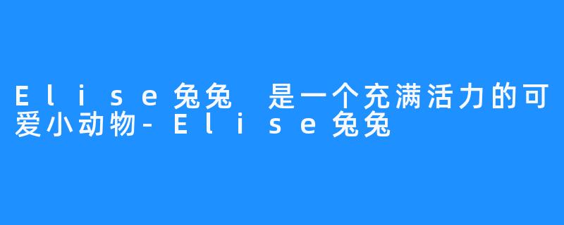 Elise兔兔 是一个充满活力的可爱小动物-Elise兔兔