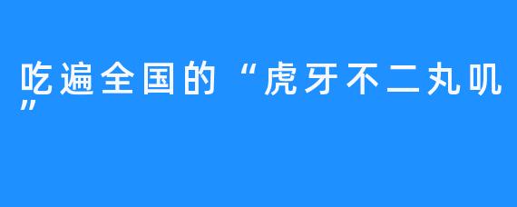 吃遍全国的“虎牙不二丸叽”