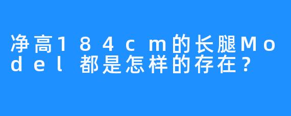 净高184cm的长腿Model都是怎样的存在?