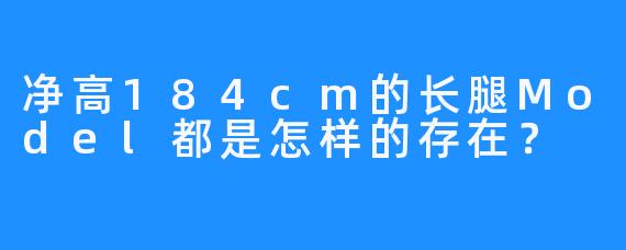 净高184cm的长腿Model都是怎样的存在？