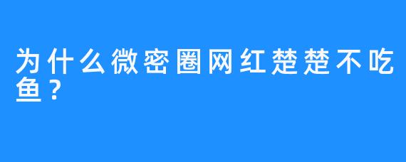 为什么微密圈网红楚楚不吃鱼？