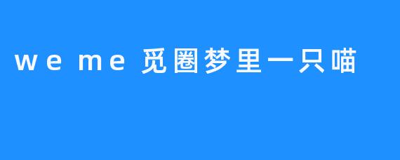 追寻梦中的喵喵——weme觅圈奇幻之旅