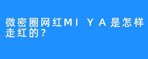 微密圈网红MIYA是怎样走红的？