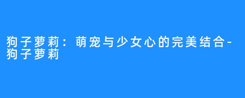狗子萝莉:萌宠与少女心的完美结合-狗子萝莉