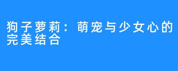 狗子萝莉:萌宠与少女心的完美结合