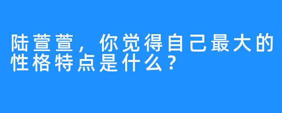 陆萱萱，你觉得自己最大的性格特点是什么？