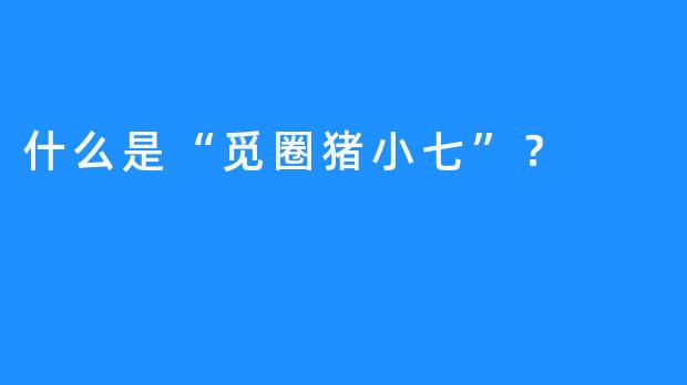 什么是“觅圈猪小七”？