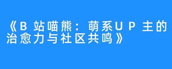《B站喵熊:萌系UP主的治愈力与社区共鸣》