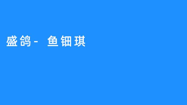 盛鸽与鱼钿琪：光影交织中的艺术人生