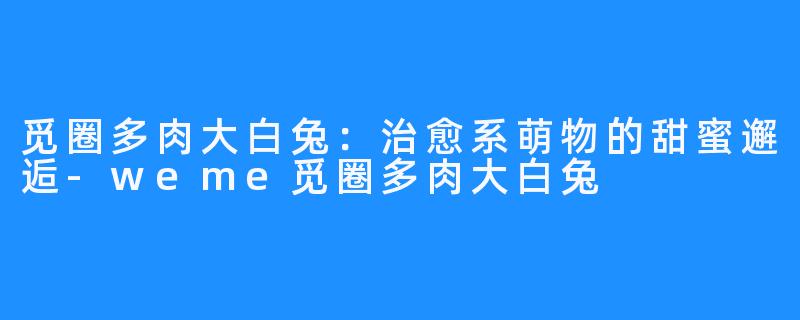 觅圈多肉大白兔:治愈系萌物的甜蜜邂逅-weme觅圈多肉大白兔