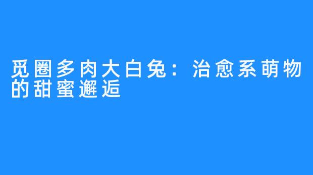 觅圈多肉大白兔:治愈系萌物的甜蜜邂逅